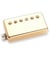 CC HS - DUNCAN DISTORTION, MANCHE, GOL