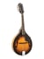 Washburn Americana Series M1 - Mandoline acoustique - Sunburst 