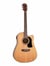 Washburn Apprentice D5CE Natural Electro