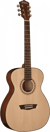 Washburn Apprentice F5 - Guitare folk - Dreadnought - Natural