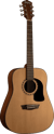 Washburn Apprentice D5 - Guitare acoustique - Dreadnought - Naturel 