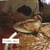 Tigers Jaw