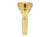 CC HS - Bugle plaquée or 5BFL
