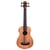 Kala U-BASS – Nomad - Ukulele basse