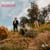 Got a story to tell - vinyle magenta