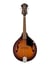 PM 180E MANDOLINE W B ACB