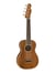 Fender Zuma - Ukulélé - acoustique - 4 cordes - concert - dessus : sapelli - arrière : sapelli
