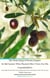 The Pious King of Persia Empire and Old Farmer Who Planted Olive Trees For His Grandchildren (Kisah Raja Persia dan Petani Tua yang Menanam Pohon Buah Zaitun Untuk Anak Cucunya) English Indonesian