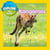 Explore My World: Kangaroos