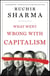 What Went Wrong with Capitalism