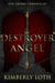 Destroyer Angel - The Thorn Chronicles, #2
