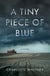A Tiny Piece of Blue - A Novel