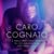 Caro cognato - 2 brevi racconti erotici in collaborazione con Erika Lust