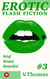 Erotic Flash Fiction #3 - Erotic Flash Fiction, #3