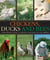 Chickens, Ducks and Bees - A beginner's guide to keeping livestock in the garden