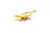 Figurine Papillon souci - Papo