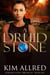 A Druid Stone - Mórdha Stone Chronicles, #5