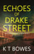 Echoes of Drake Street - The Rookie Investigator Series, #2