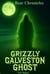 Grizzly Galveston Ghost - Bear Chronicles Book 3 - Bear Chronicles, #3