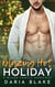 Blazing Hot Holiday - Blaze Family Romance, #14