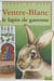 Ventre-Blanc, le lapin de garenne