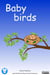 Baby Birds