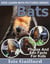 Bats Photos and Fun Facts for Kids - Kids Learn With Pictures, #84