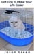 Cat Tips to Make Your Life Easier