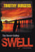 The Never-Ending Swell