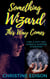 Something Wizard This Way Comes - Something Wizard Book 1, #1