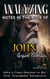 Analyzing Notes in the Book of John: John's Contribution to the New Testament Scriptures - Notes in the New Testament, #4