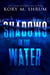 Shadows in the Water - A Lou Thorne Thriller, #1