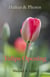 Haikus and Photos: Tulips Opening - Nature Haikus & Photos, #7