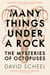Many Things Under a Rock - The ‘mind-blowing’ book that reveals the mysteries of the octopus, perfect for all science enthusiasts and fans of David Attenborough
