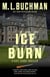 Ice Burn - Kate Stark, #2