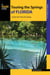 Touring the Springs of Florida - A Guide to the State's Best Springs