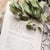 Der Liebesbrief