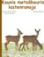 Kaunis metsäkauris - lastenrunoja