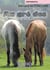 Au gré des chevaux