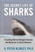 The Secret Life of Sharks - A Leading Marine Biologist Reveals the Mysteries o
