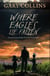 Where Eagles Lie Fallen - The Crash of Arrow Air Flight 1285, Gander, Newfoundland