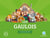 Les Gaulois : civilisation (2e édition)