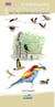 An illustrated guide to birds of the Camargue the crau and Mediterranean lagoons