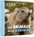Mon premier doc photo : Les animaux de la montagne
