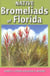 Native Bromeliads of Florida