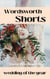 Wedding of the Year - Wordsworth Shorts, #21