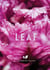Leaf - Lettuce, Greens, Herbs, Weeds - Over 120 Recipes that Celebrate Varied, Versatile Leaves