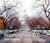 Washington, D.C. Then and Now