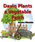 Davin Plants a Vegetable Patch
