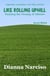 Like Rolling Uphill: Realizing the Honesty of Atheism